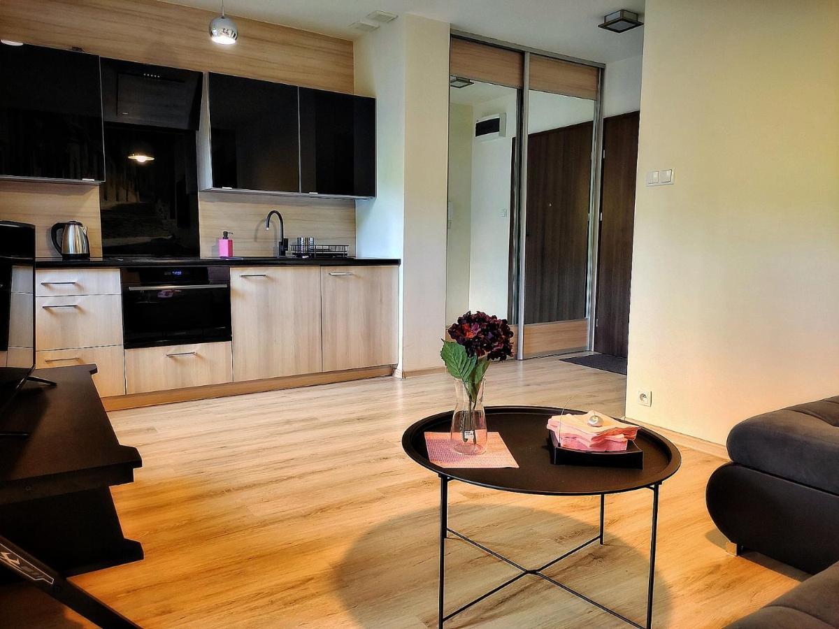 Sleepwell Apartman Zielona Góra Kültér fotó